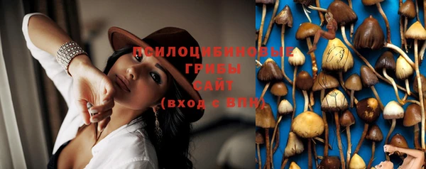 прущие крисы Алзамай