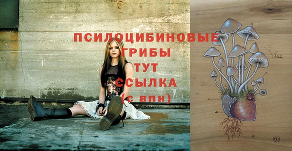 прущие крисы Алзамай